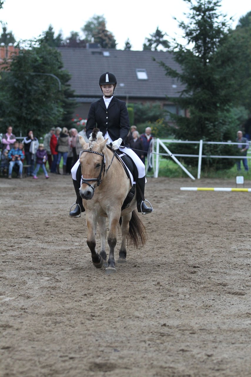 Bild 396 - WBO-Turnier am 18.9.11